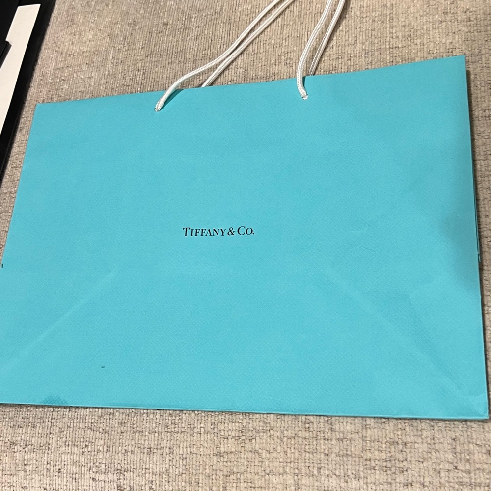 Tiffany & co shopping gift bag